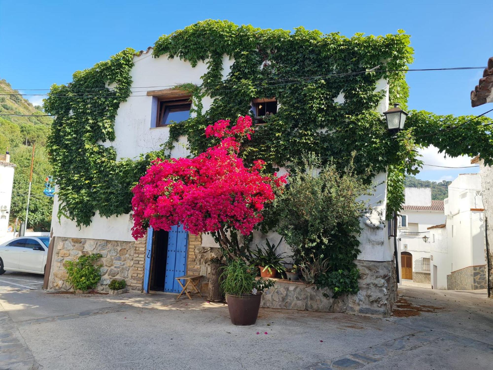 Vila Casa La Yedra By Casaturistica Benarrabá Exteriér fotografie
